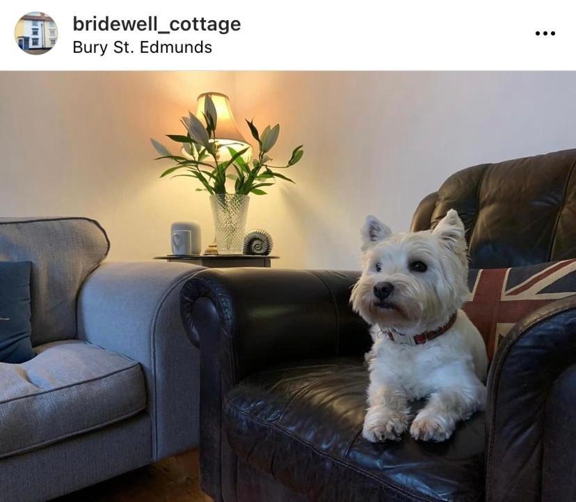 Sweet & Cosy 10 Bridewell Cottage With Parking Available Upon Request Bury St. Edmunds Eksteriør bilde